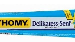 Thomy Deli Mustard Medium Hot 100ml